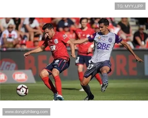 墨尔本城与悉尼FC对决分析及竞猜推荐攻略